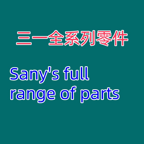 SANY Parts WGJ12900011577 机械快接国四 DING HONG RUIYUAN  