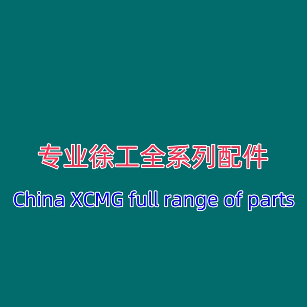 XCMG Parts Catalog XS182J (spare parts) 860110416 DING HONG RUIYUAN XCMG Parts 